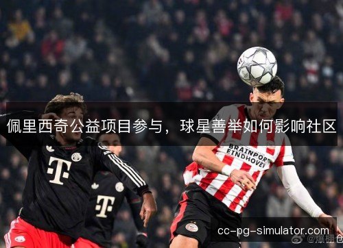 佩里西奇公益项目参与，球星善举如何影响社区